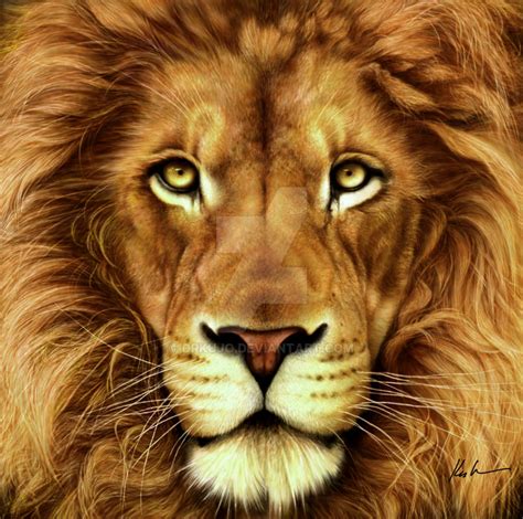 King Art. . Deviantart lion